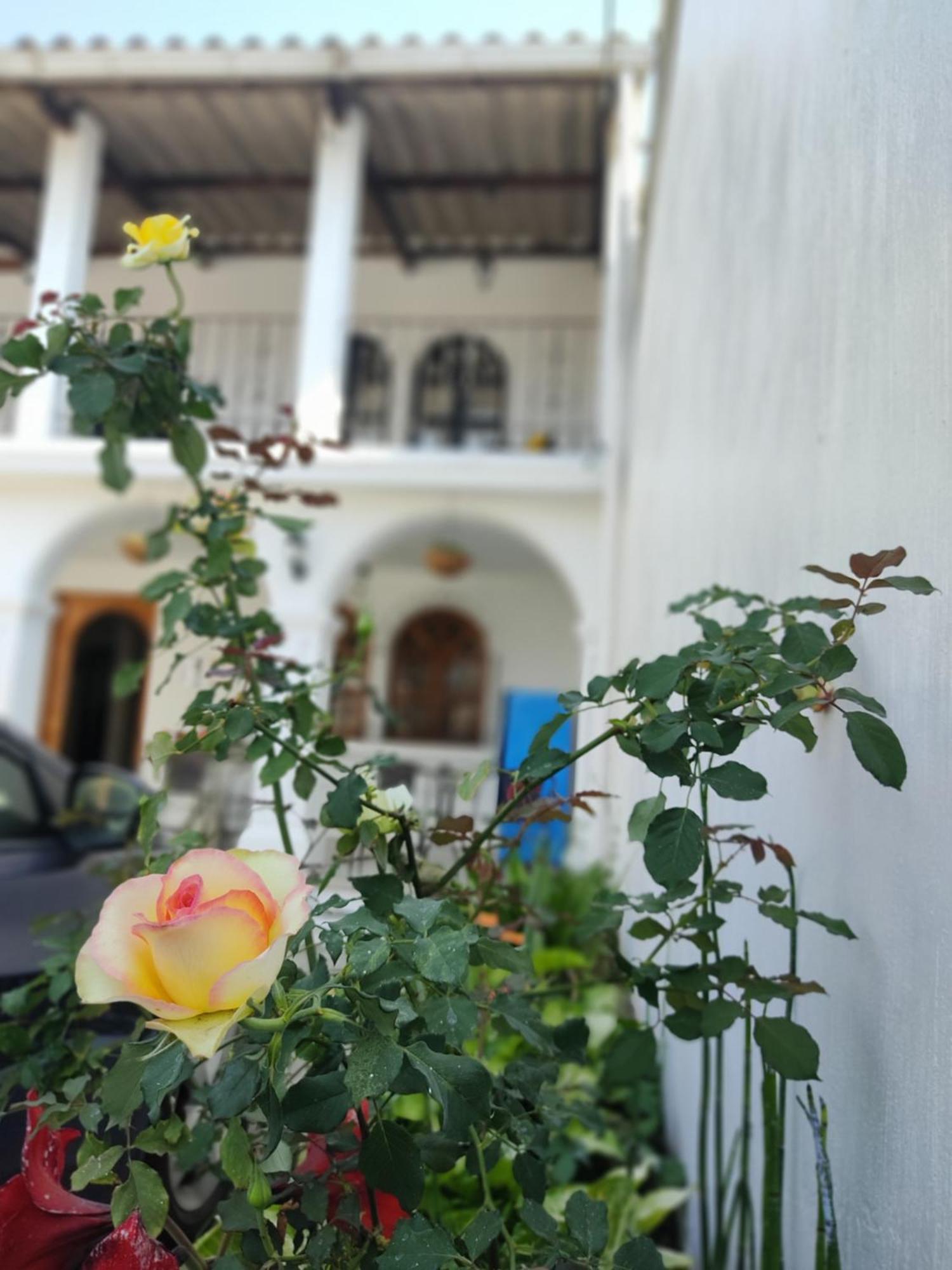 Blue Moon Hostel Antigua Exteriör bild